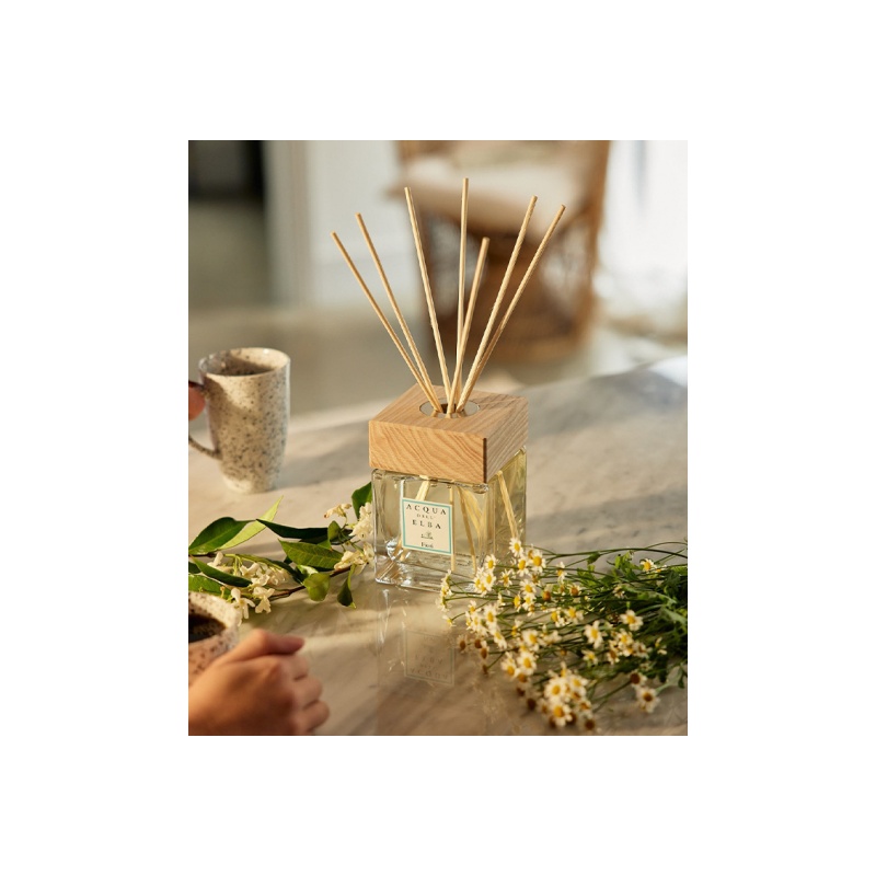 acqua-dell-elba-fiori-diffuser-5000ml-AD5000ml013-02.jpg