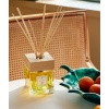 acqua-dell-elba-casa-dei-mandarini-diffuser-500ml-AD500ml010-04.jpg