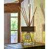 acqua-dell-elba-giardino-degli-aranci-diffuser-5000ml-AD5000ml012-04.jpg
