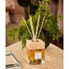 acqua-dell-elba-giglio-delle-sabbie-diffuser-5000ml-AD5000ml014-02.jpg