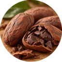 Chocolate beans