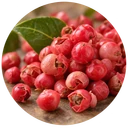 Pink pepper