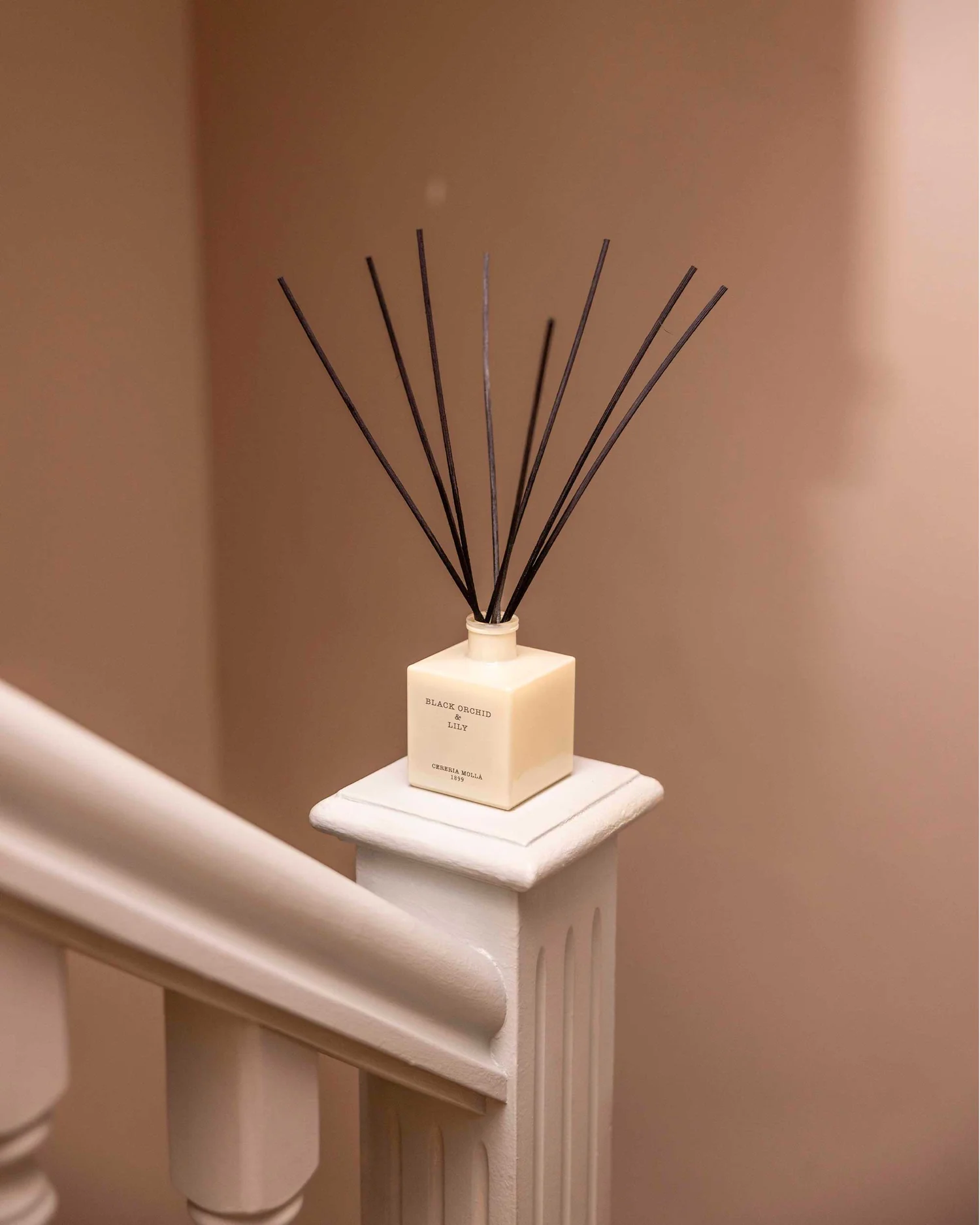 Cereria Mollá 1899 Black Orchid & Lily Reed Diffuser 250 ml