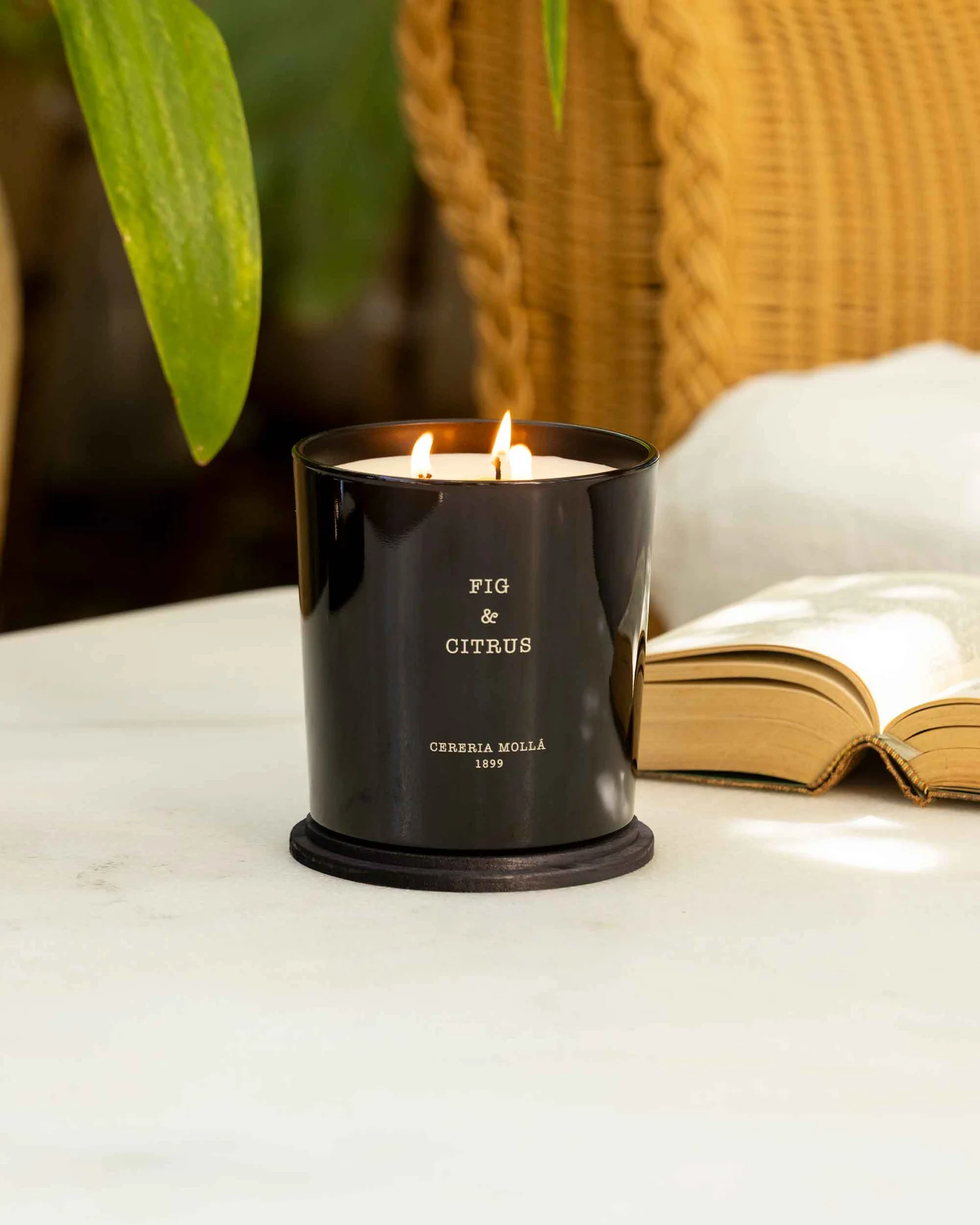 Cereria Mollá 1899 Fig & Citrus Scented XL Candle 600 g