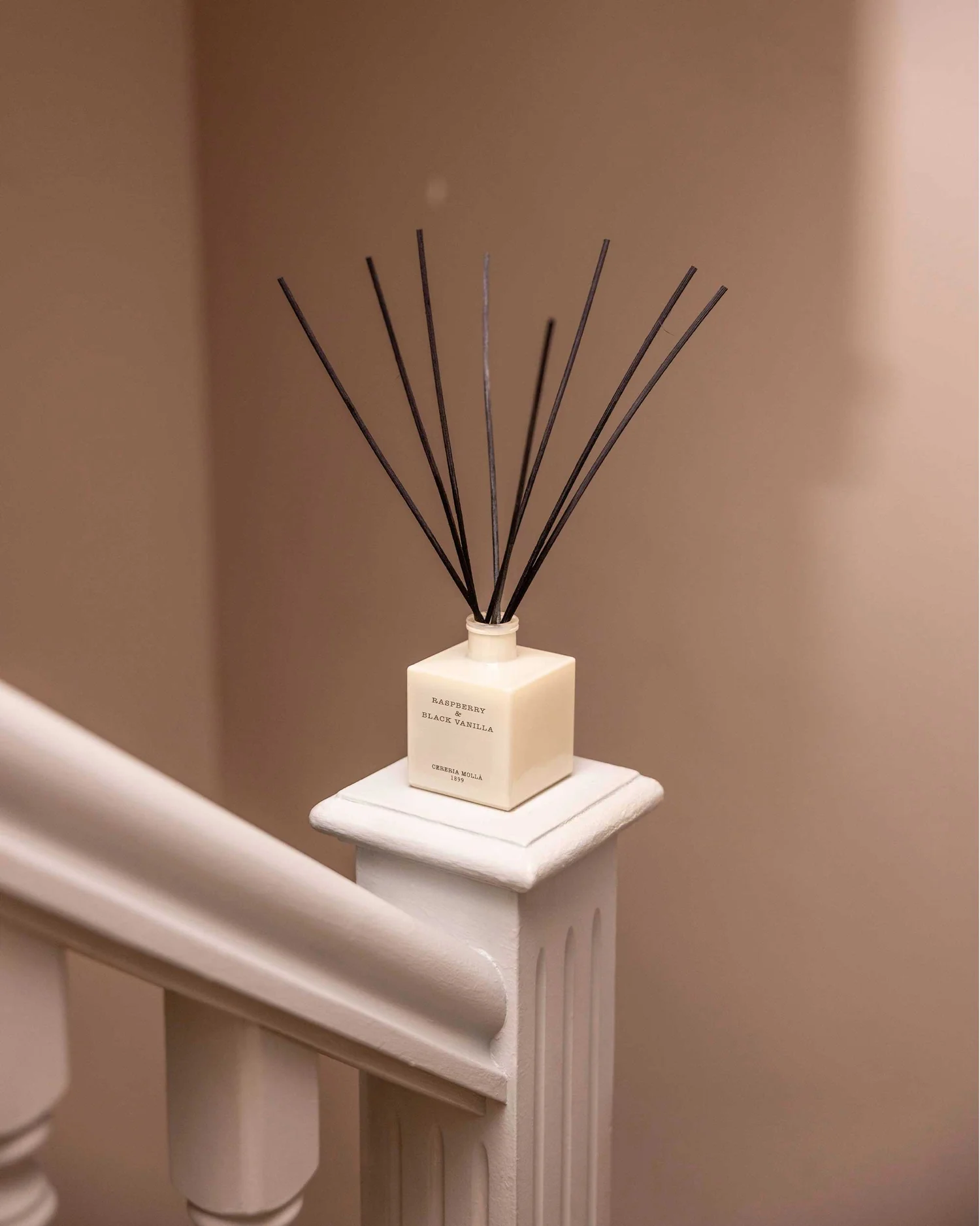 Cereria Mollá 1899 Raspberry & Black Vanilla Reed Diffuser 250 ml