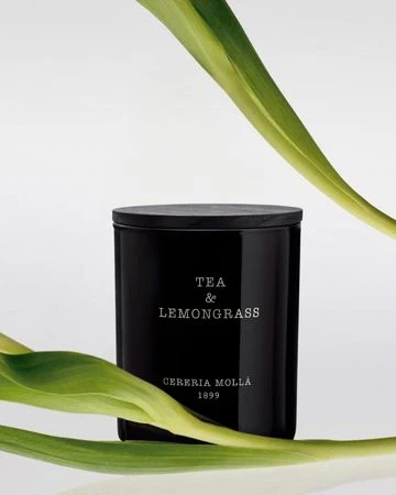 Cereria Mollá 1899 Tea & Lemongrass Scented Candle 230 g