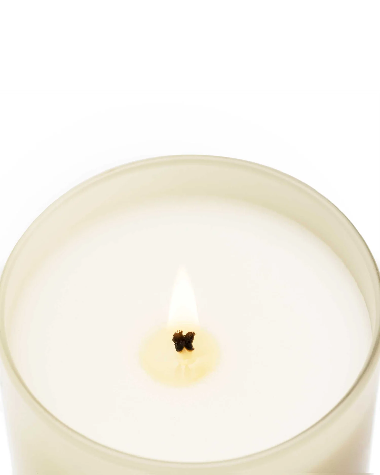 Cereria Mollá 1899 Velvet Wood Scented Candle 230 g