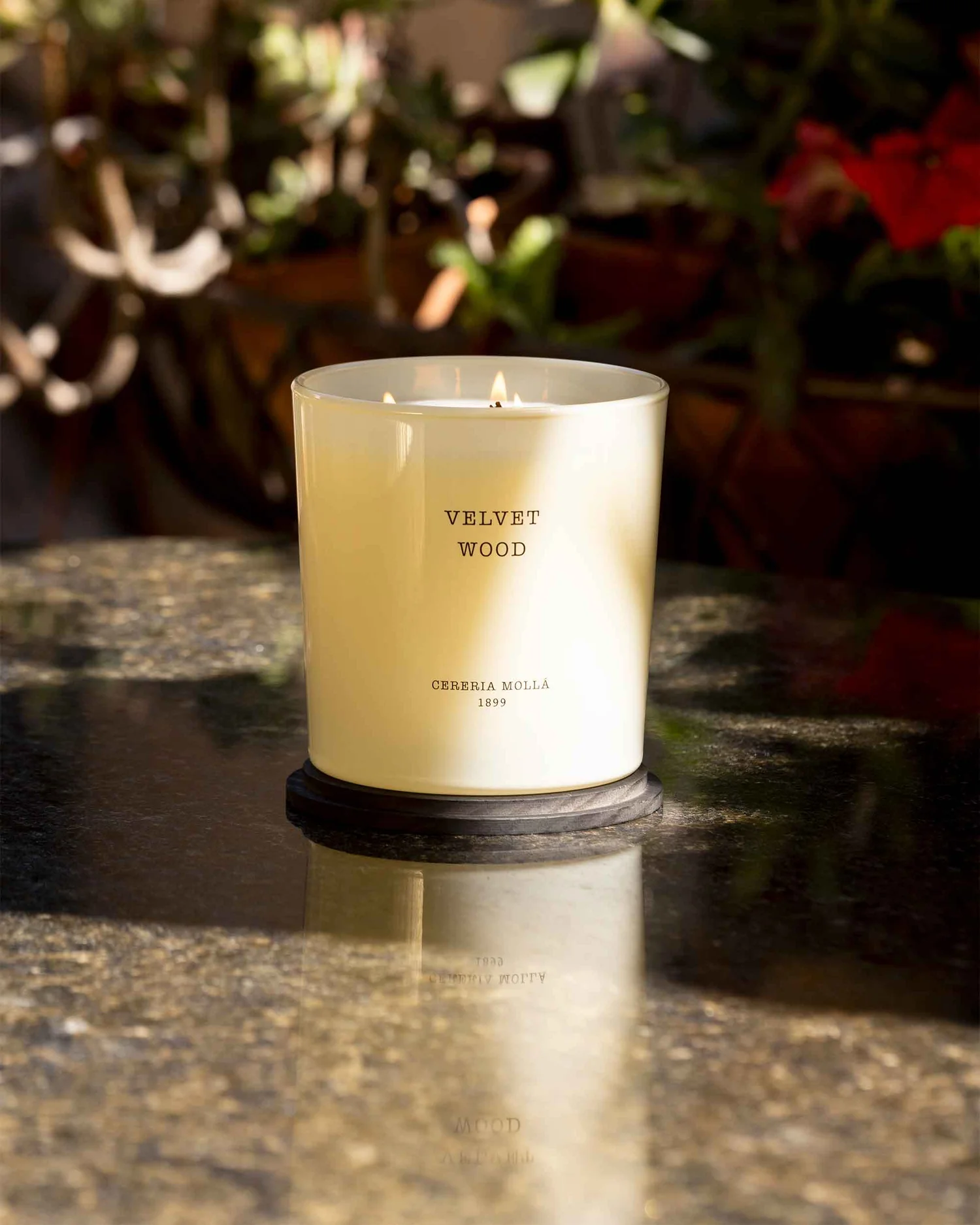 Cereria Mollá 1899 Velvet Wood Scented XL Candle 600 g